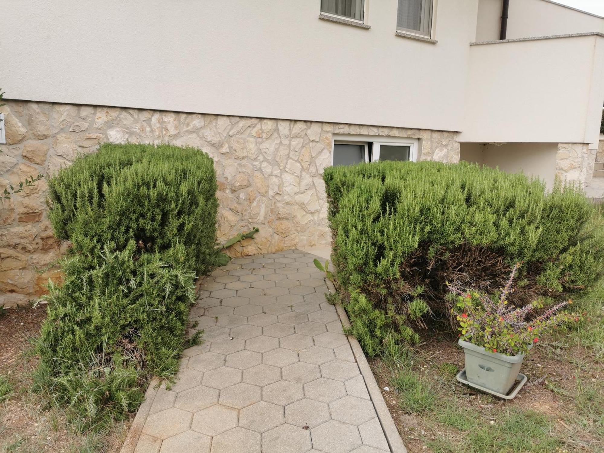 Apartments Riva ポヴリャナ エクステリア 写真