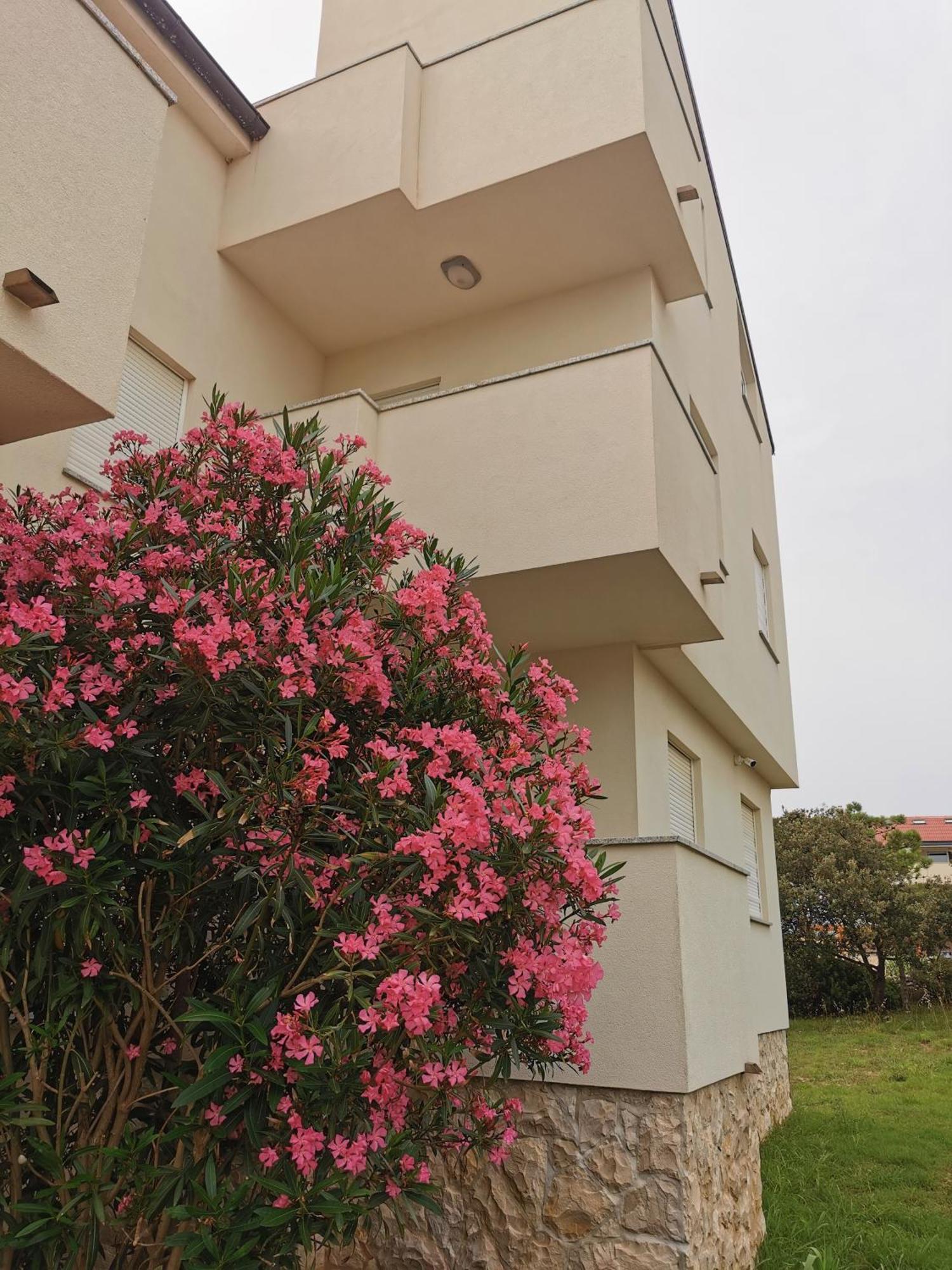 Apartments Riva ポヴリャナ エクステリア 写真